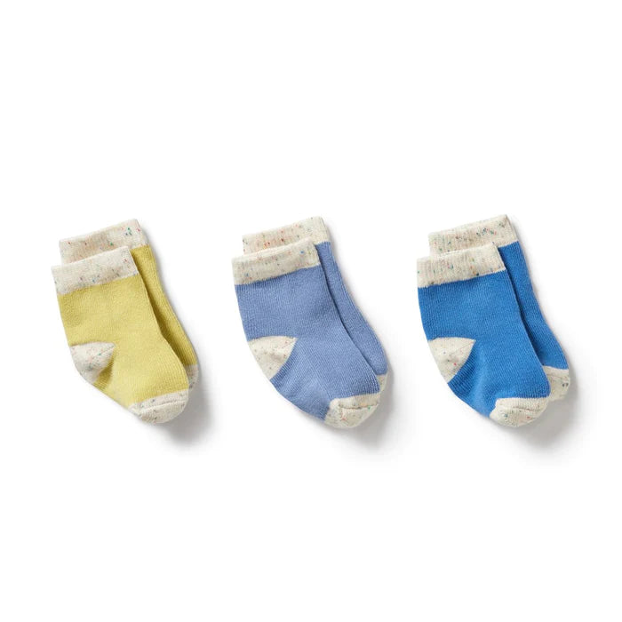 3 Pack Baby Socks