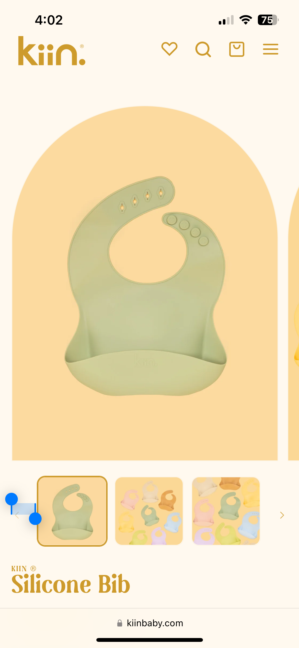 Silicone Bib