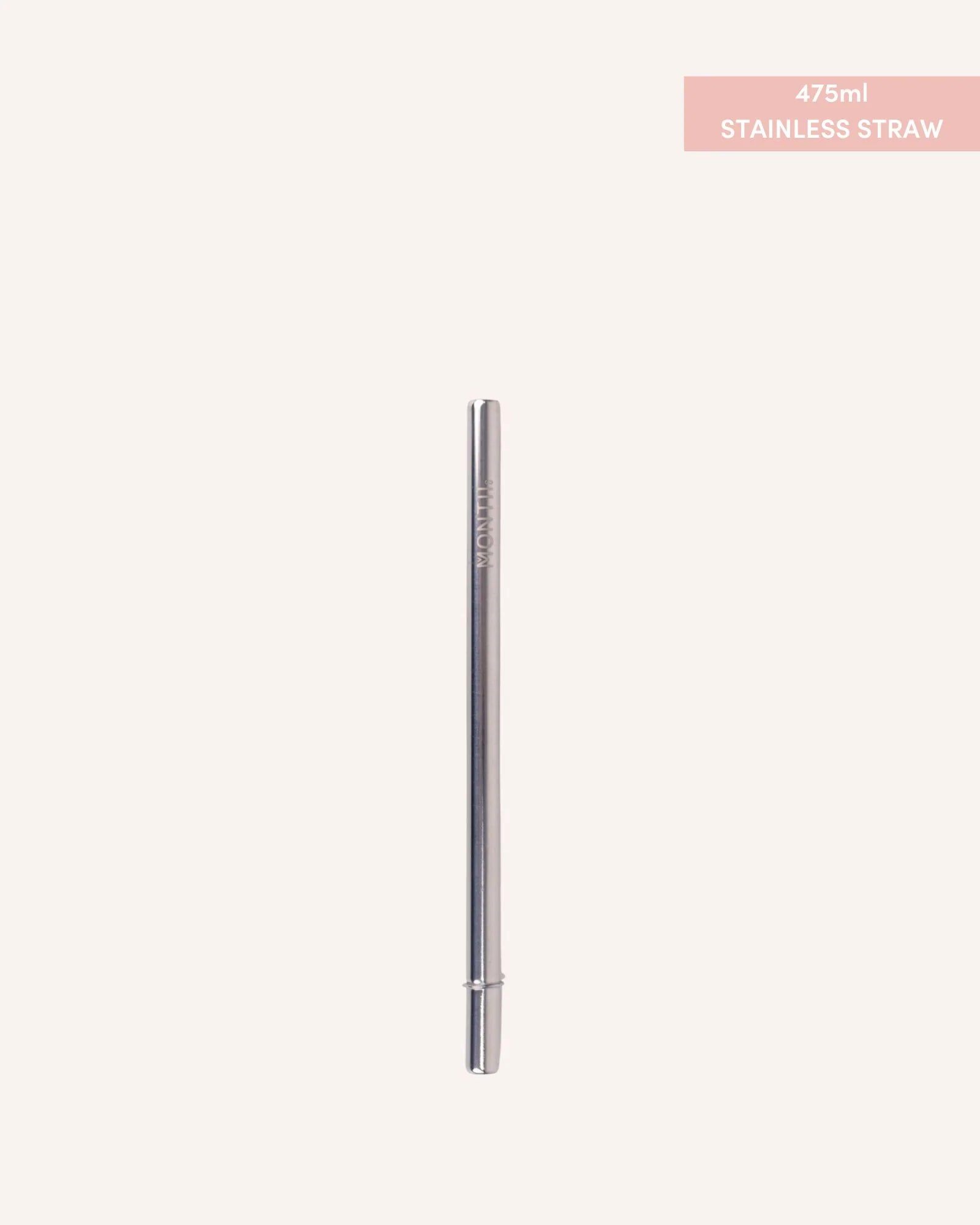 FUSION Stainless Smoothie Straw